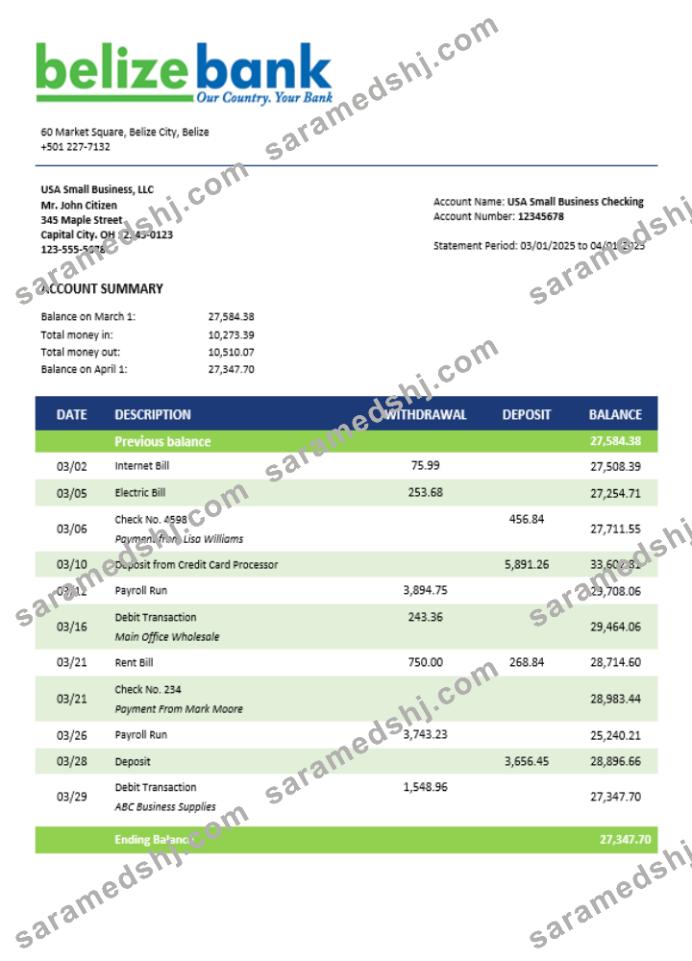 Belizean bank company checking account statement Word and PDF template